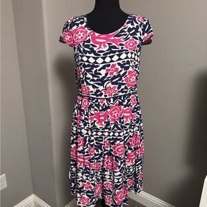 Anthropology Dress by Maeve Navy & Pink